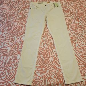 NWT Pilcro Stet Ivory Corduroy pants